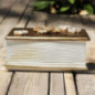 Świeca sojowa w kształcie Księgi - Złota Księga Blasku - 170 ml - Idealna na prezent na dzień nauczyciela - Zapach Biblioteki Świeca sojowa w kształcie Księgi - Złota Księga Blasku - 170 ml - Idealna na prezent na dzień nauczyciela - Zapach Biblioteki