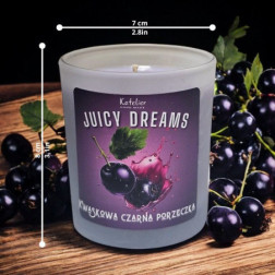 Świeca Sojowa - Juicy Dreams - 140 ml - Zapach Kwaskowa Czarna Porzeczka