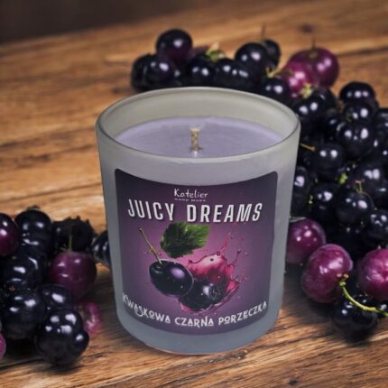 Juicy Dreams Kwaskowa Czarna Porzeczka